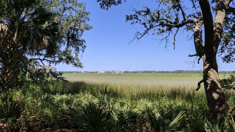 Kearns Park Trail - Mt Pleasant, SC