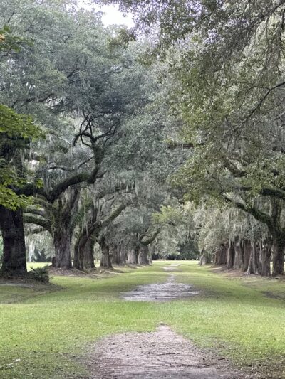 Laurel Hill County Park - Mt Pleasant, SC