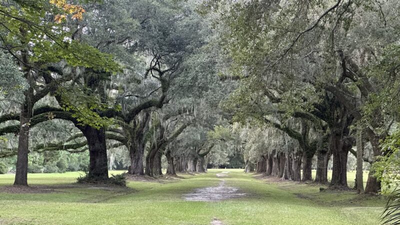 Laurel Hill County Park - Mt Pleasant, SC