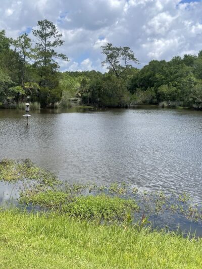 Laurel Hill County Park - Mt Pleasant, SC