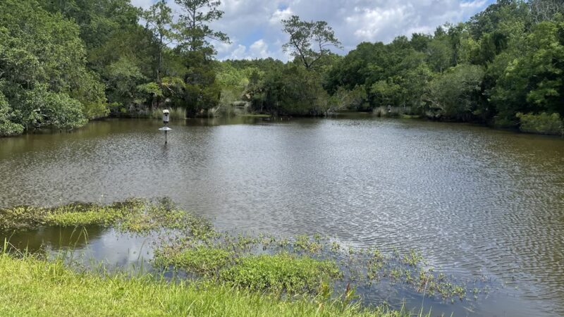 Laurel Hill County Park - Mt Pleasant, SC