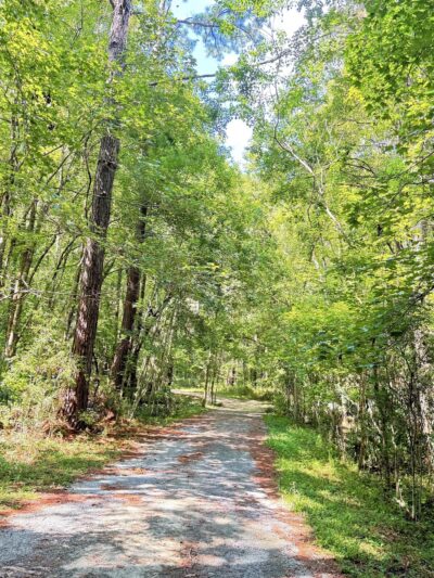 Laurel Hill County Park - Mt Pleasant, SC