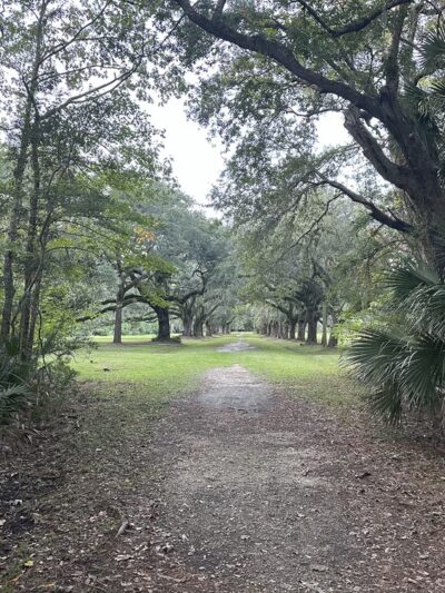 Laurel Hill County Park - Mt Pleasant, SC