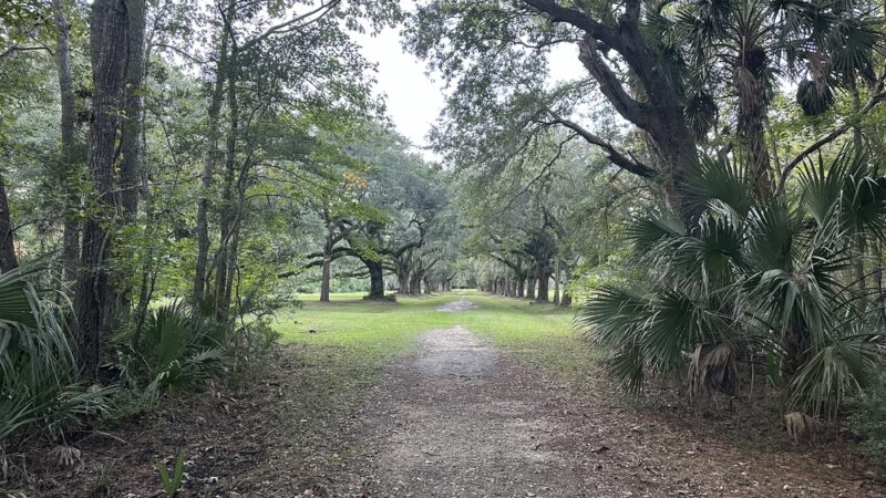 Laurel Hill County Park - Mt Pleasant, SC