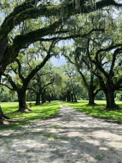 Laurel Hill County Park Trailhead - Mt Pleasant, SC