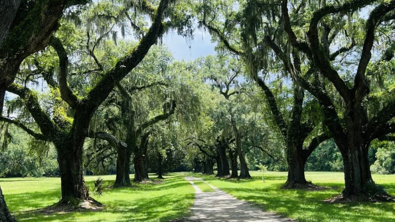 Laurel Hill County Park Trailhead - Mt Pleasant, SC