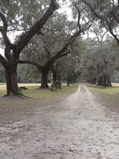 Laurel Hill County Park Trailhead - Mt Pleasant, SC