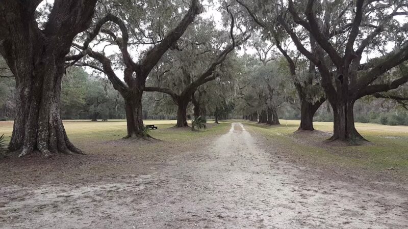 Laurel Hill County Park Trailhead - Mt Pleasant, SC