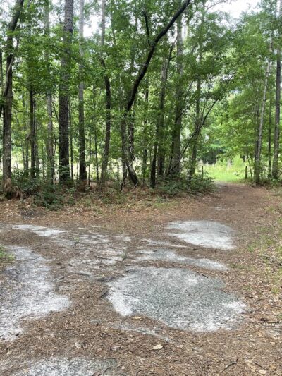 Laurel Hill County Park Trailhead - Mt Pleasant, SC