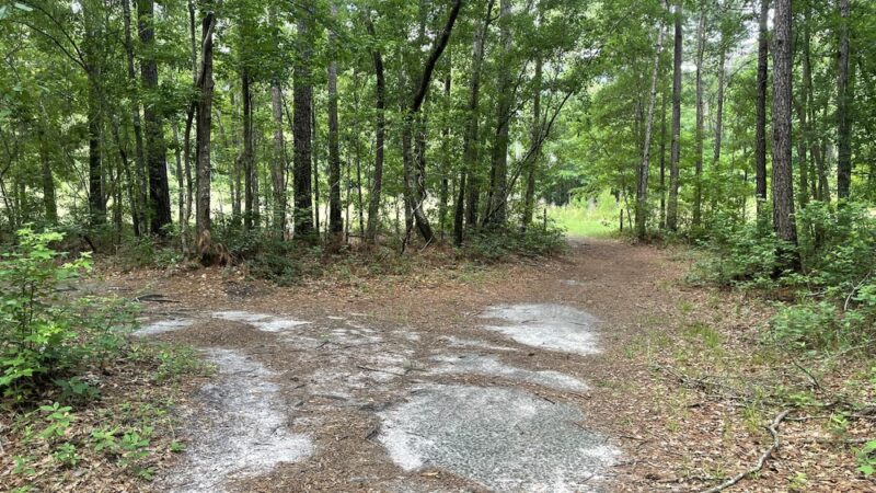 Laurel Hill County Park Trailhead - Mt Pleasant, SC