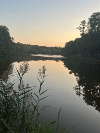 Laurel Hill County Park Trailhead - Mt Pleasant, SC
