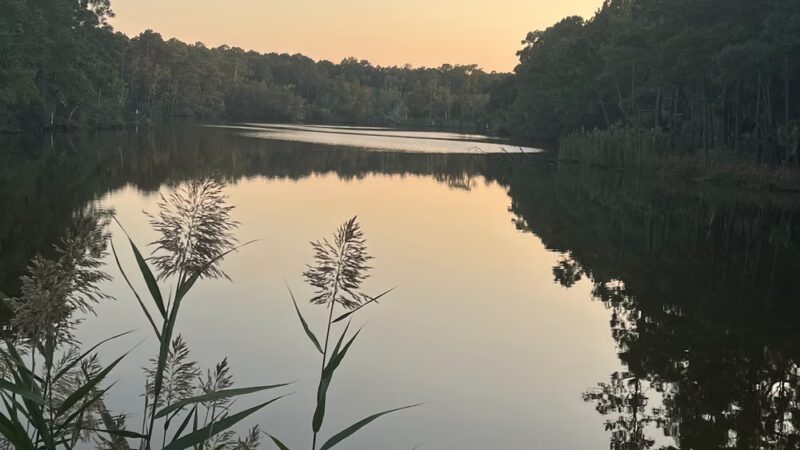 Laurel Hill County Park Trailhead - Mt Pleasant, SC