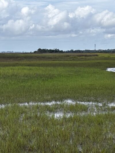 Marsh View Trail - Mt Pleasant, SC