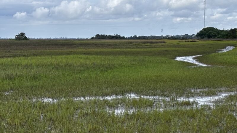 Marsh View Trail - Mt Pleasant, SC