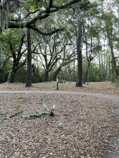 Marsh View Trail - Mt Pleasant, SC