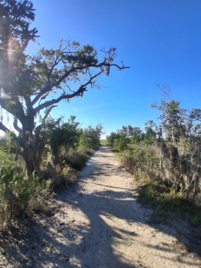 Marsh View Trail - Mt Pleasant, SC