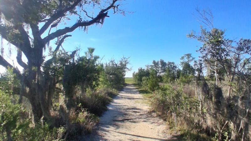 Marsh View Trail - Mt Pleasant, SC