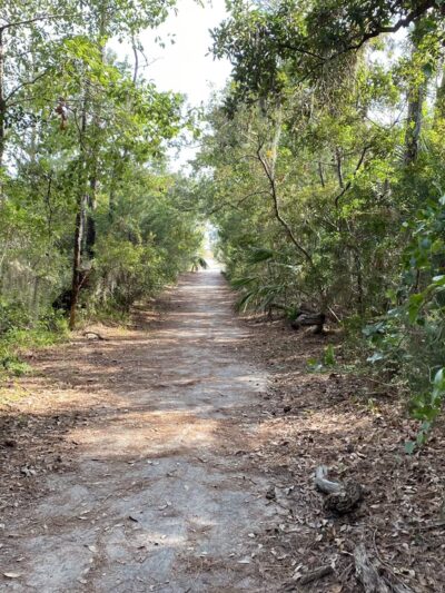 Marsh View Trail - Mt Pleasant, SC