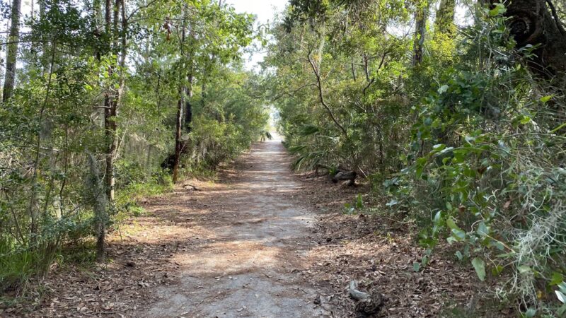 Marsh View Trail - Mt Pleasant, SC