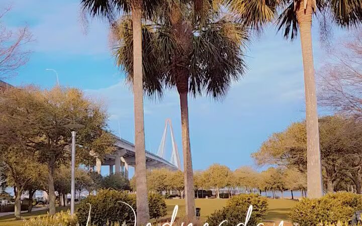 Mt Pleasant Waterfront Park Playground - Mt Pleasant, SC