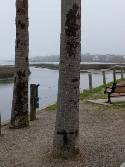 Ocean Walk at Pitt Street Bridge Park - Mt Pleasant, SC