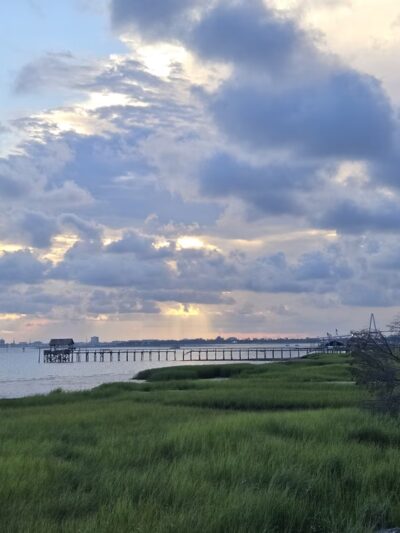 Ocean Walk at Pitt Street Bridge Park - Mt Pleasant, SC