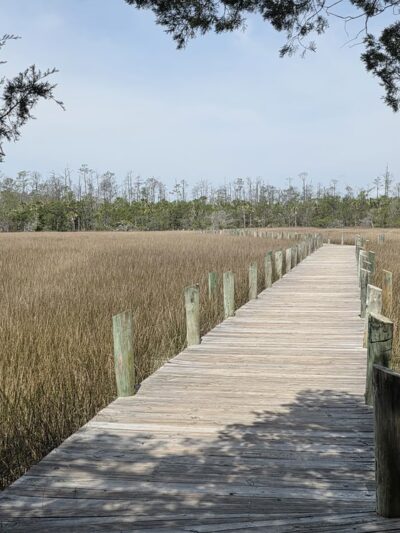 Palmetto Islands County Park - Mt Pleasant, SC