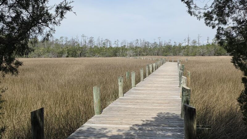 Palmetto Islands County Park - Mt Pleasant, SC