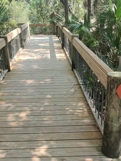Palmetto Islands County Park - Mt Pleasant, SC