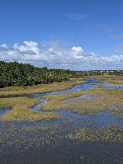 Palmetto Islands County Park - Mt Pleasant, SC