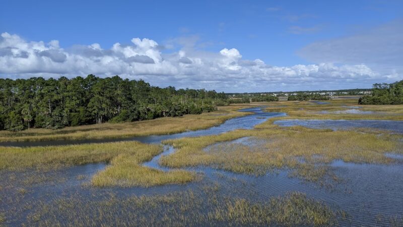 Palmetto Islands County Park - Mt Pleasant, SC