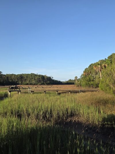 Park West Masonborough Park - Mt Pleasant, SC