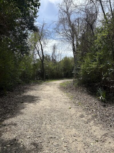 Patriots Point Nature Trail - Mt Pleasant, SC