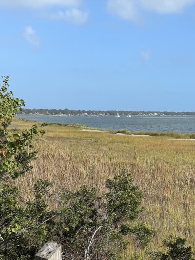 Patriots Point Nature Trail - Mt Pleasant, SC