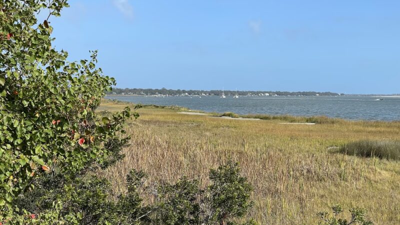 Patriots Point Nature Trail - Mt Pleasant, SC