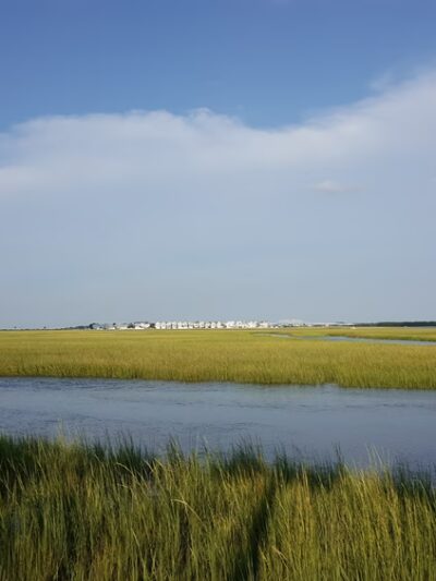Pickett Park - Mt Pleasant, SC