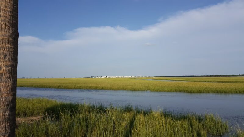 Pickett Park - Mt Pleasant, SC