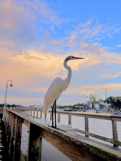 Shem Creek Boardwalk - Mt Pleasant, SC