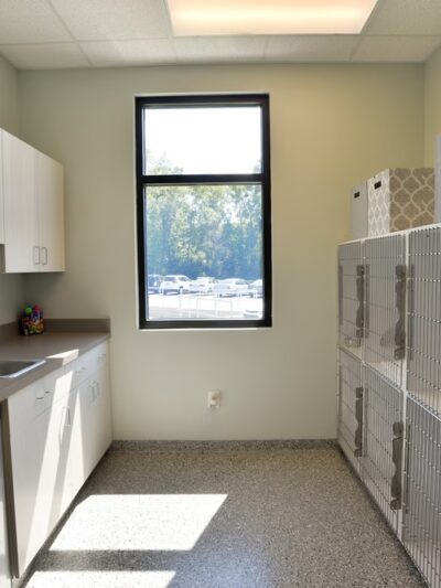 Stay! at Park West Vet - Mt Pleasant, SC