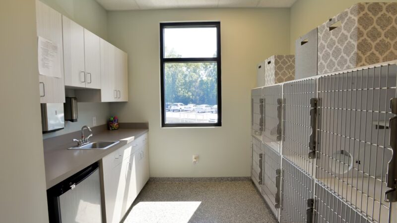 Stay! at Park West Vet - Mt Pleasant, SC
