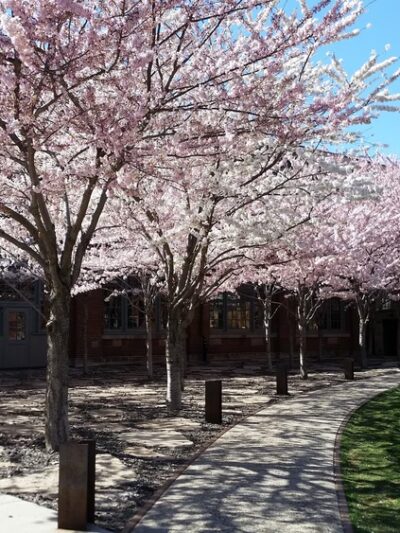 Mt Pleasant City Park - Mt Pleasant, UT