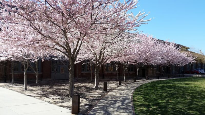 Mt Pleasant City Park - Mt Pleasant, UT