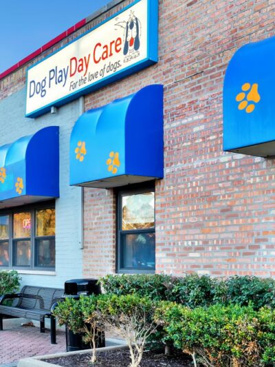Dog Play Day Care - Mt Prospect, IL
