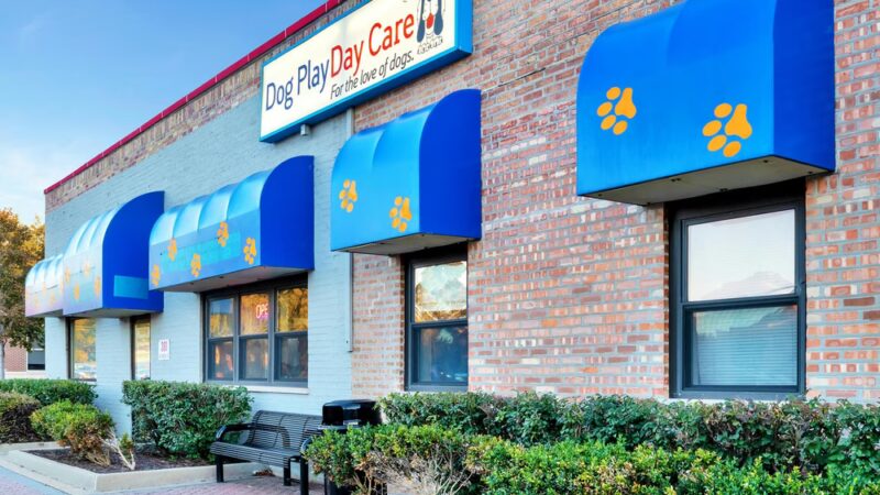 Dog Play Day Care - Mt Prospect, IL
