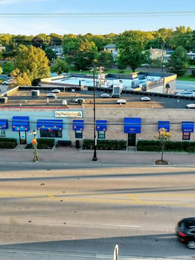 Dog Play Day Care - Mt Prospect, IL