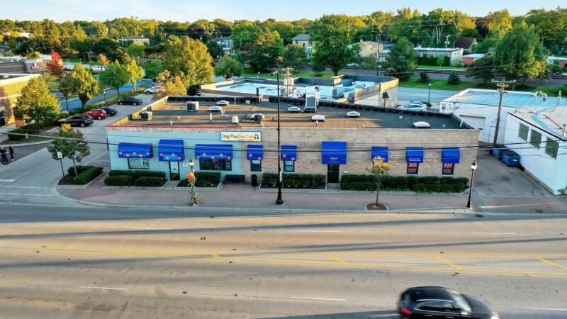 Dog Play Day Care - Mt Prospect, IL