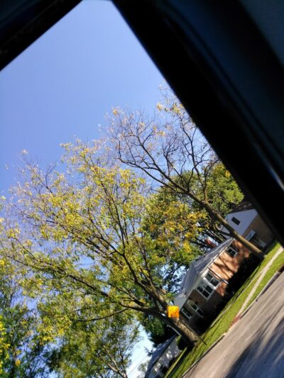 Gregory Park - Mt Prospect, IL