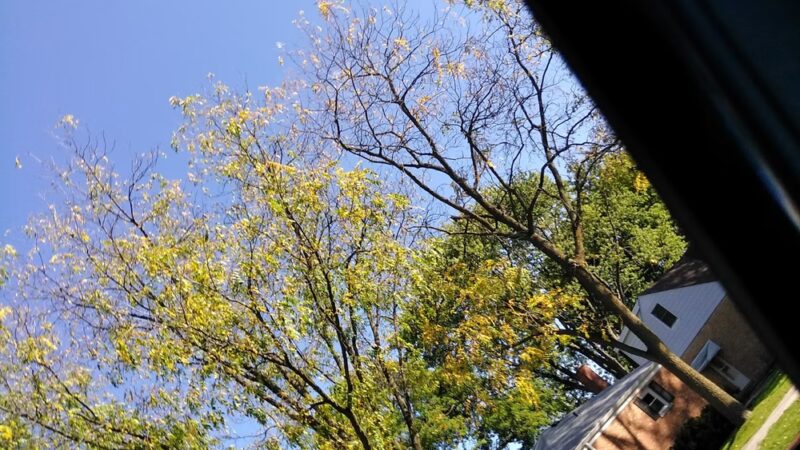 Gregory Park - Mt Prospect, IL