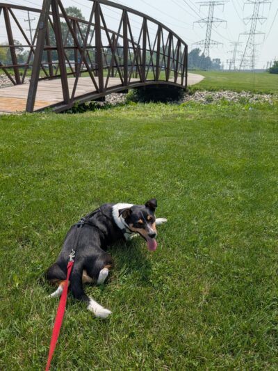 Kopp Park - Mt Prospect, IL