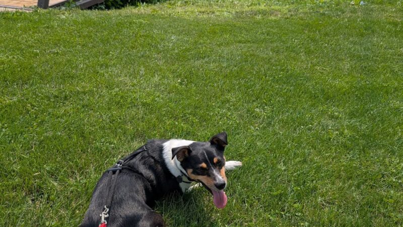 Kopp Park - Mt Prospect, IL